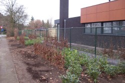 nieuwbouw woning