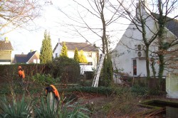 tuin renovatie