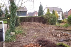 tuin renovatie