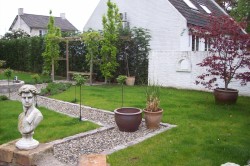 tuin renovatie