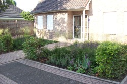 tuinrenovatie