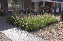 project voor- en achtertuin