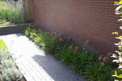 project voor- en achtertuin