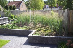 project voor- en achtertuin