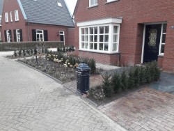 renovatie voor-achtertuin