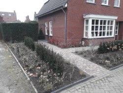 renovatie voor-achtertuin