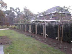 nieuwbouw