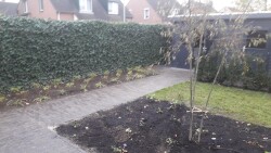 renovatie voor en achtertuin