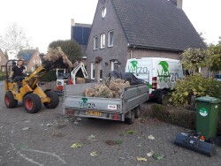 renovatie voor en achtertuin