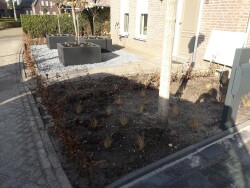 renovatie voor en achtertuin