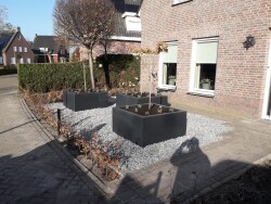 renovatie voor en achtertuin