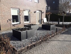 renovatie voor en achtertuin