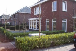 Renovatie voortuin