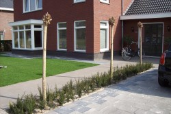 Renovatie voortuin