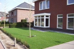 Renovatie voortuin