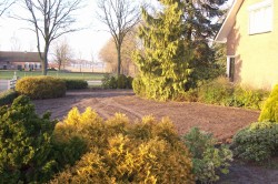 renovatie voortuin