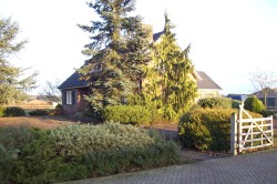 renovatie voortuin