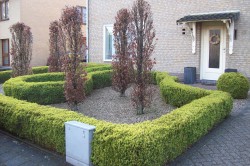 renovatie voortuin