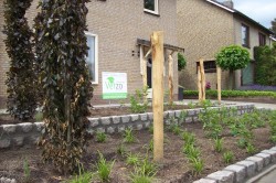 renovatie voortuin